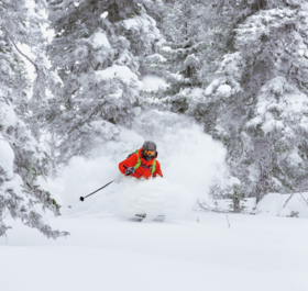 Skier skiing off-piste in deep powder