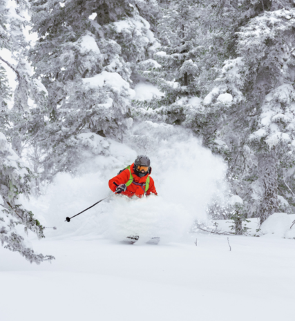 Skier skiing through deep powder in forest