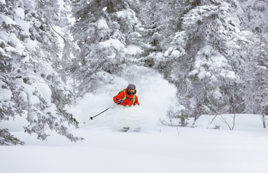 Person skiing deep powder