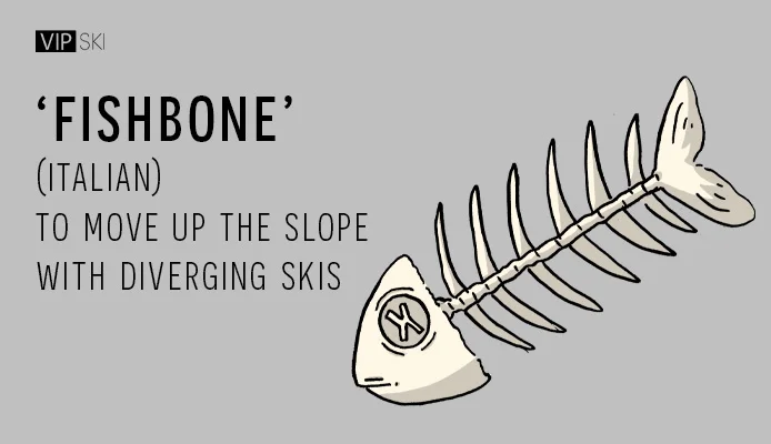 Ski Slang Terms And Glossary | VIP SKI