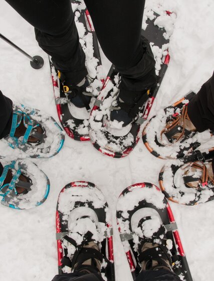 Aerial view of four people wearing snow shoes 
