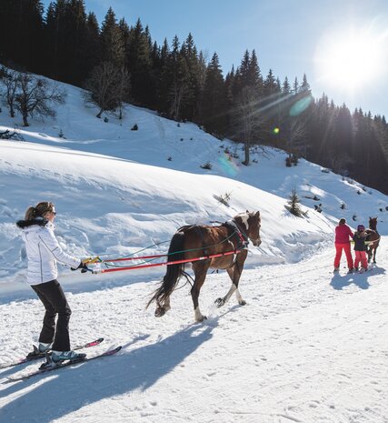 Woman on skis being pulled along by brown horse in sunshine on snowy piste in Les Gets