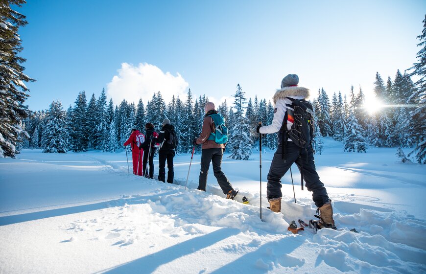 Four people wearing snowshoes walking with poles through snow behind ESF instructor on sunny day