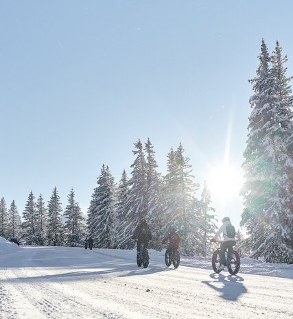 Five people riding fat bikes on a snowy trail in Les Gets