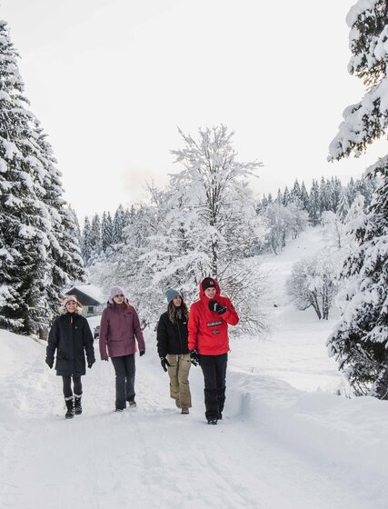 Four friends walking along snowy path