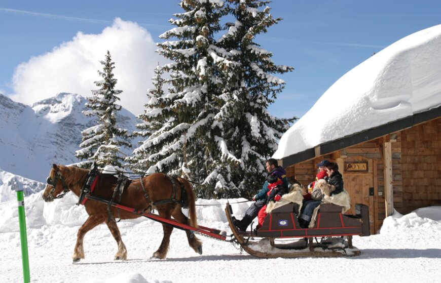 Horse pulling sleigh in snowy Avoriaz